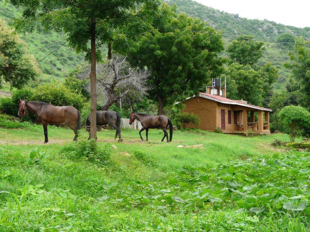 Villa Krishna Ranch Udaipur Esterno foto